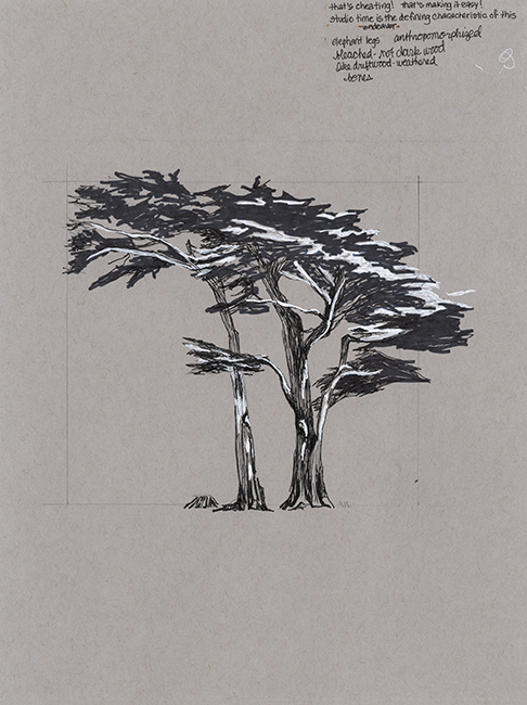 "Cambria Cypress 1," 12 x 9 in.