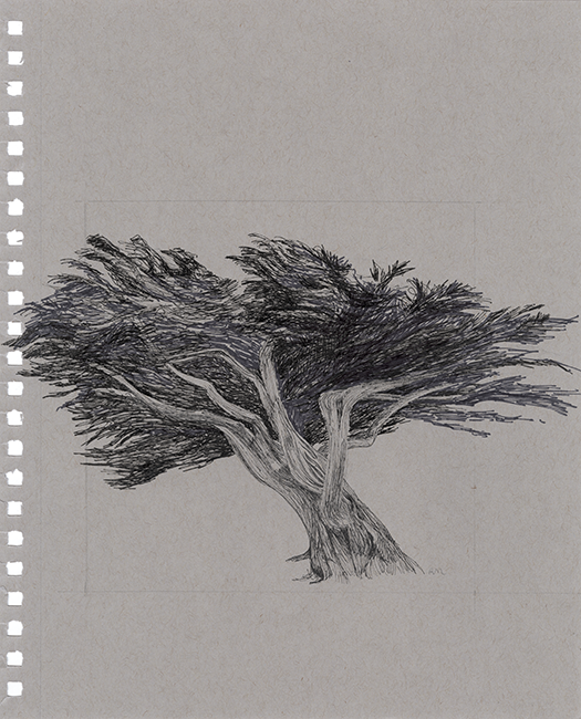 "Cambria Cypress 2," 12 x 9 in.